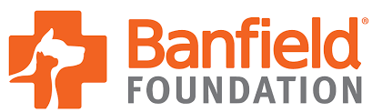 Banfield Internship
