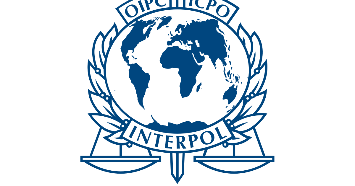 Interpol Internship