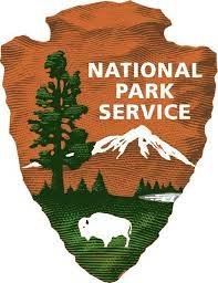 NPS Internship