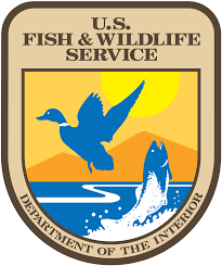 US Fish and Wildlife Internship