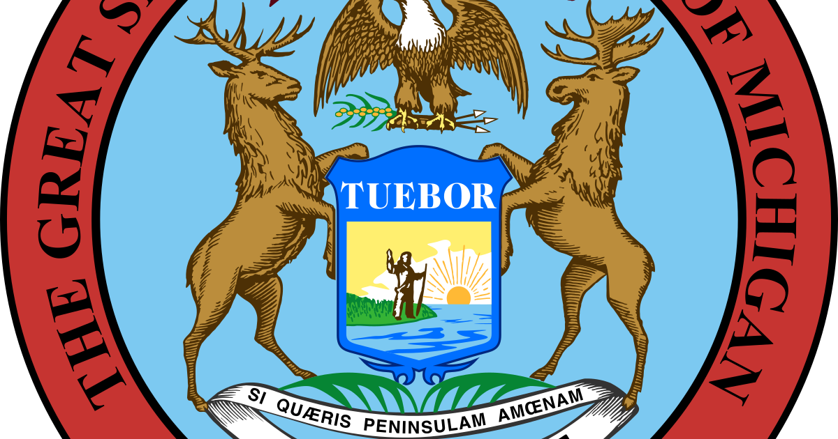 State of Michigan Internship