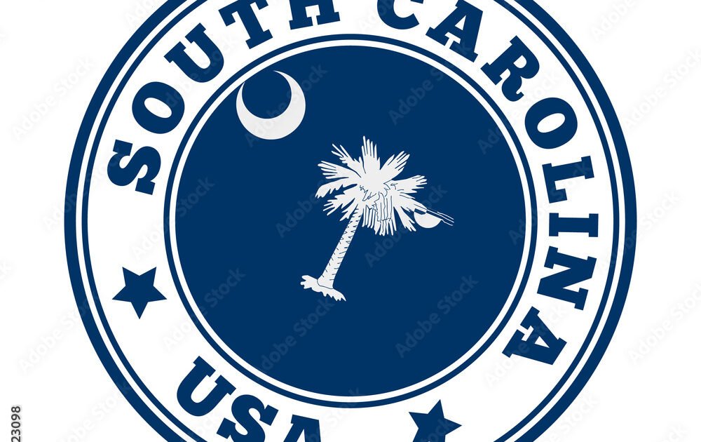 State of South Carolina Internship